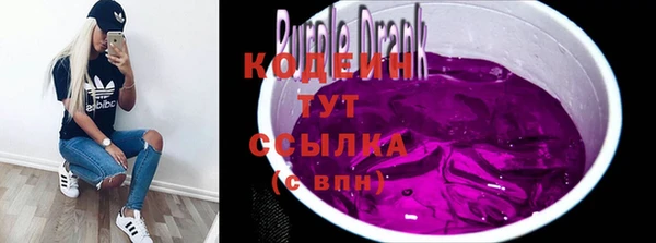 индика Беломорск
