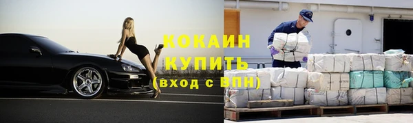 индика Беломорск