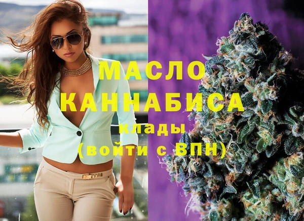 индика Беломорск