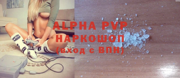индика Беломорск