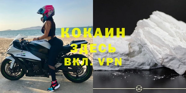 индика Беломорск