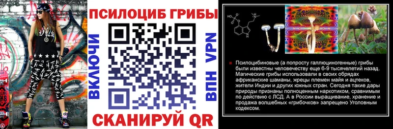 Псилоцибиновые грибы мухоморы  Белёв 